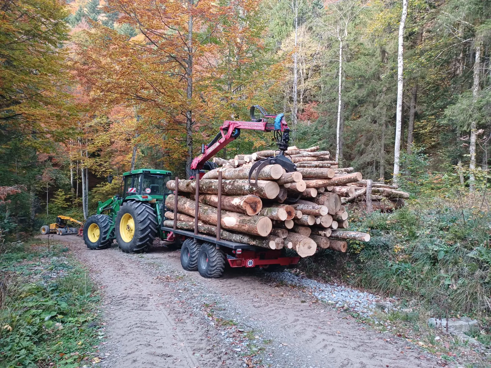 Wald & Holz